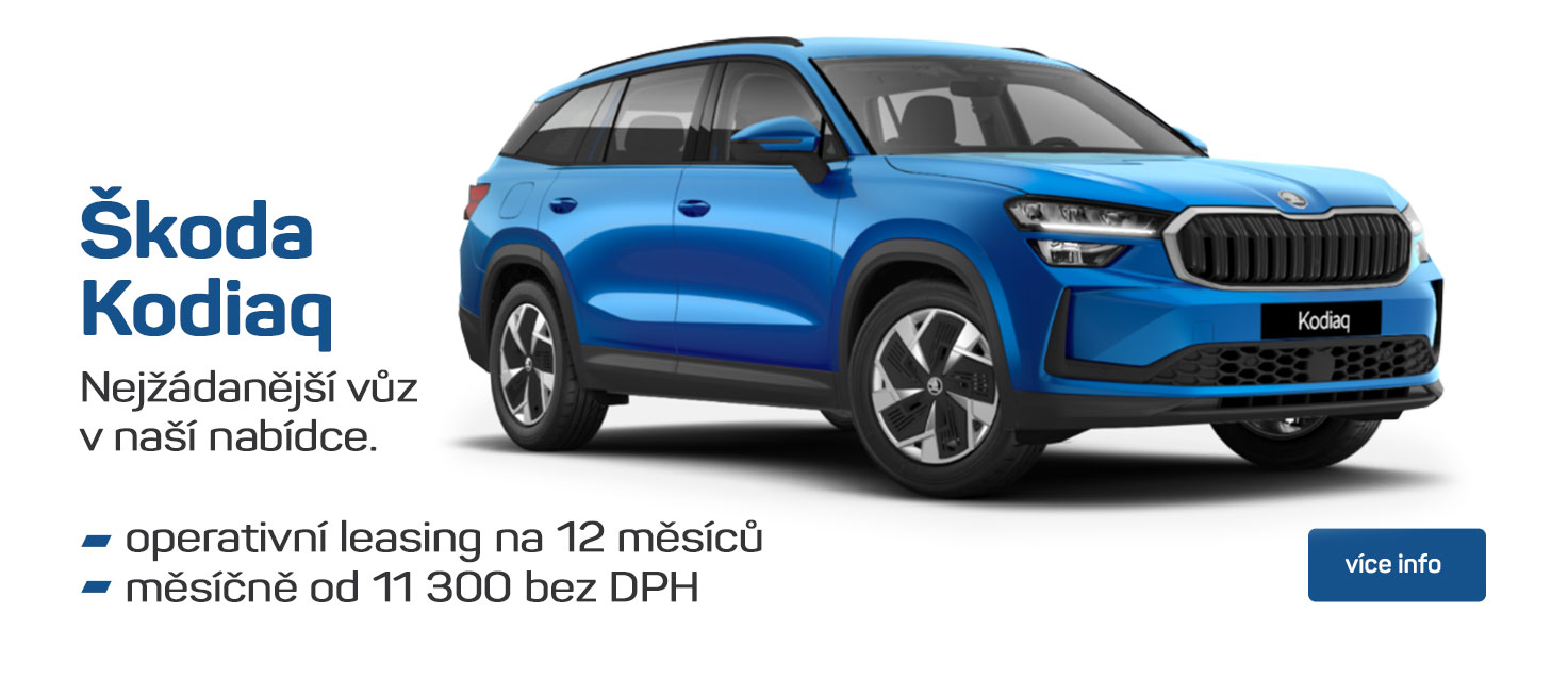 Kodiaq Leto 2024